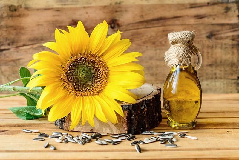 Подсолнечное или оливковое: медики назвали вредное масло