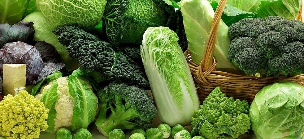 Ценные свойства капусты, о которых вы могли не знать