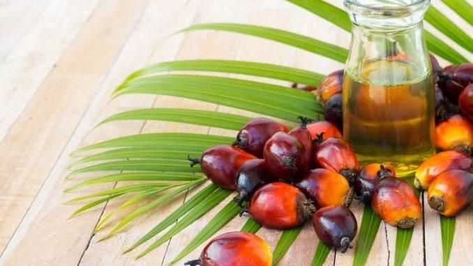 В Україні можуть заборонити небезпечну для здоров'я пальмову олію