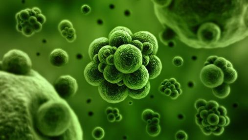 Новая угроза для человечества: ученые рассказали об устойчивости инфекции к лекарствам