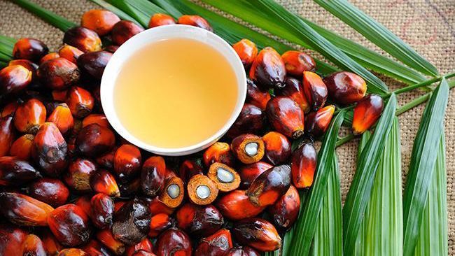 Пальмова олія: шкідливі та корисні властивості