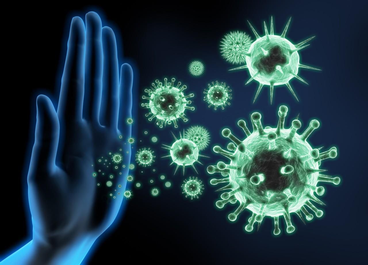 Как температура тела влияет на иммунитет