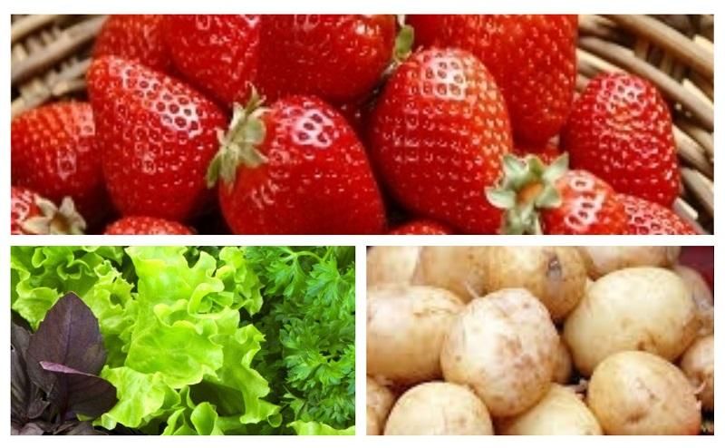 Внимание, сезонные плоды: как выбрать и съесть безопасный продукт