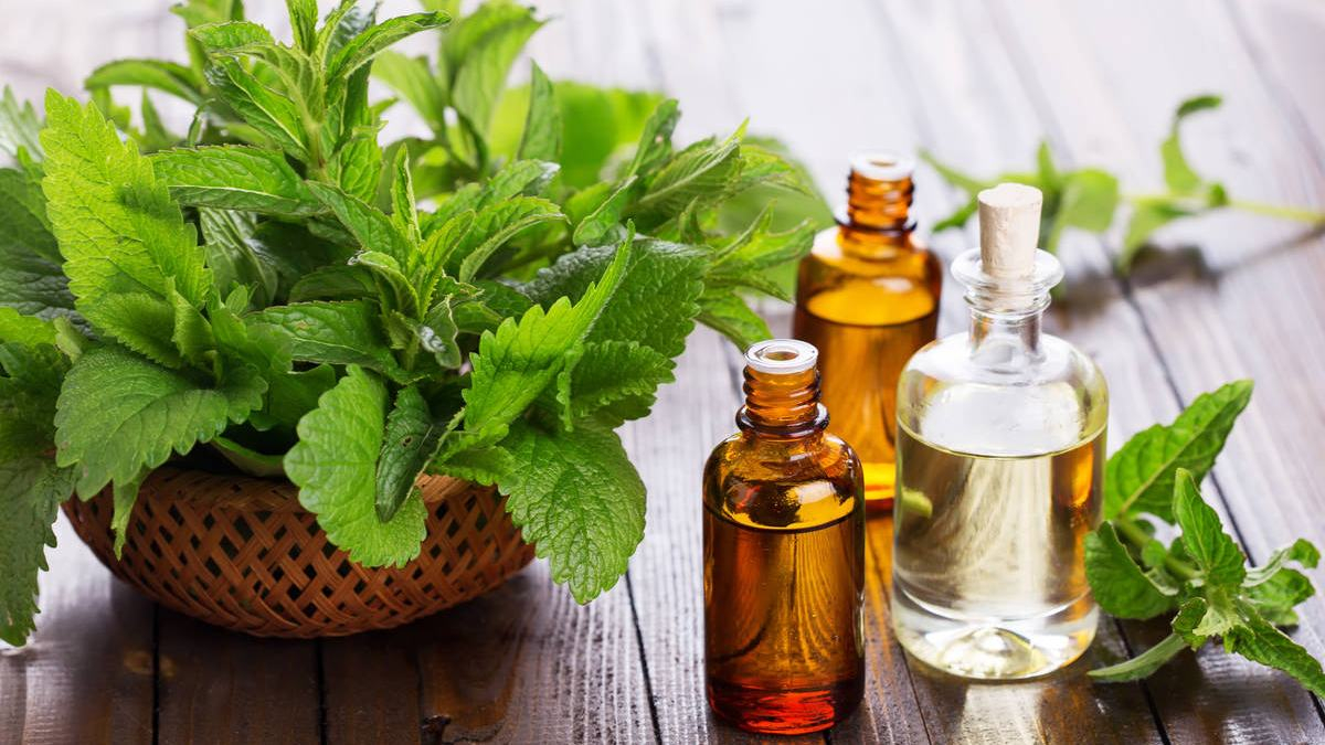 Супрун объяснила, в чем опасность лечения травами