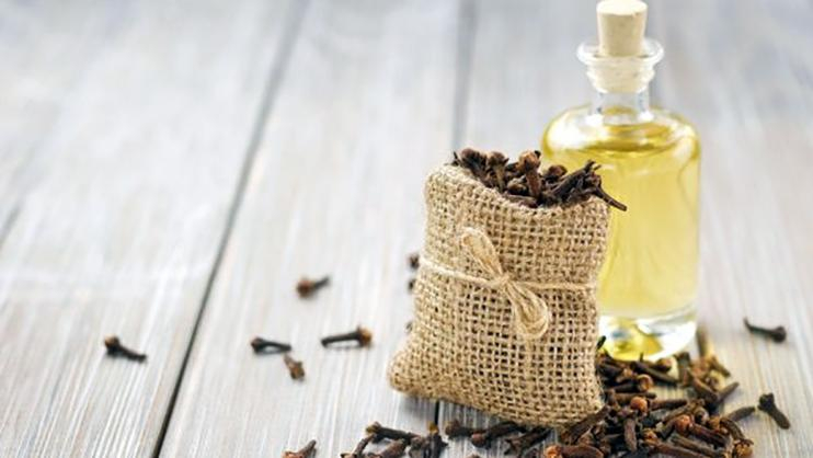 Какие ароматы отпугивают комаров: ответ врача