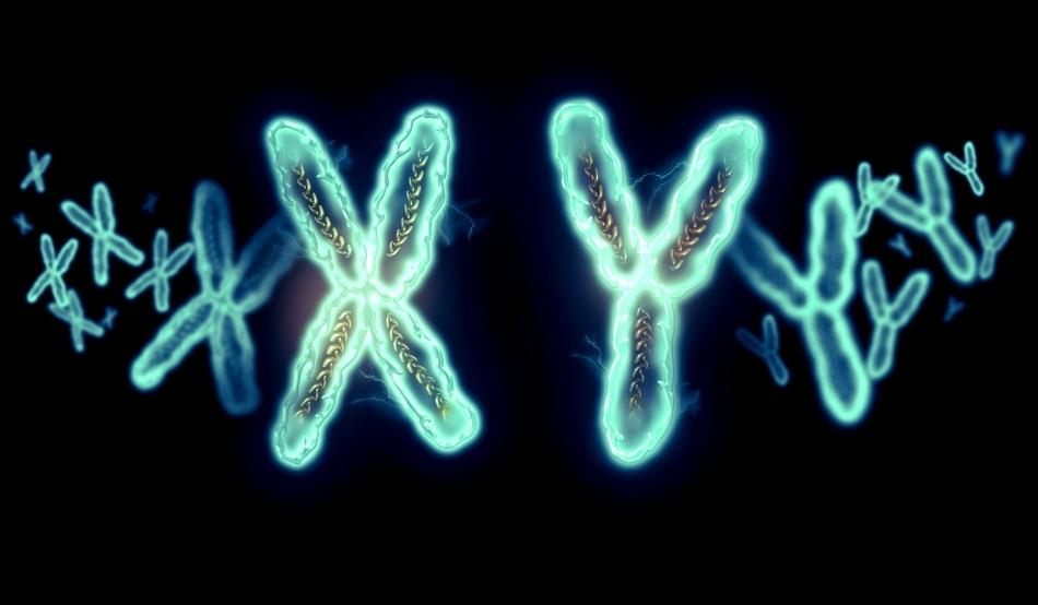 Из-за чего произошло массовое вымирание мужчин в древности: ученые назвали причину