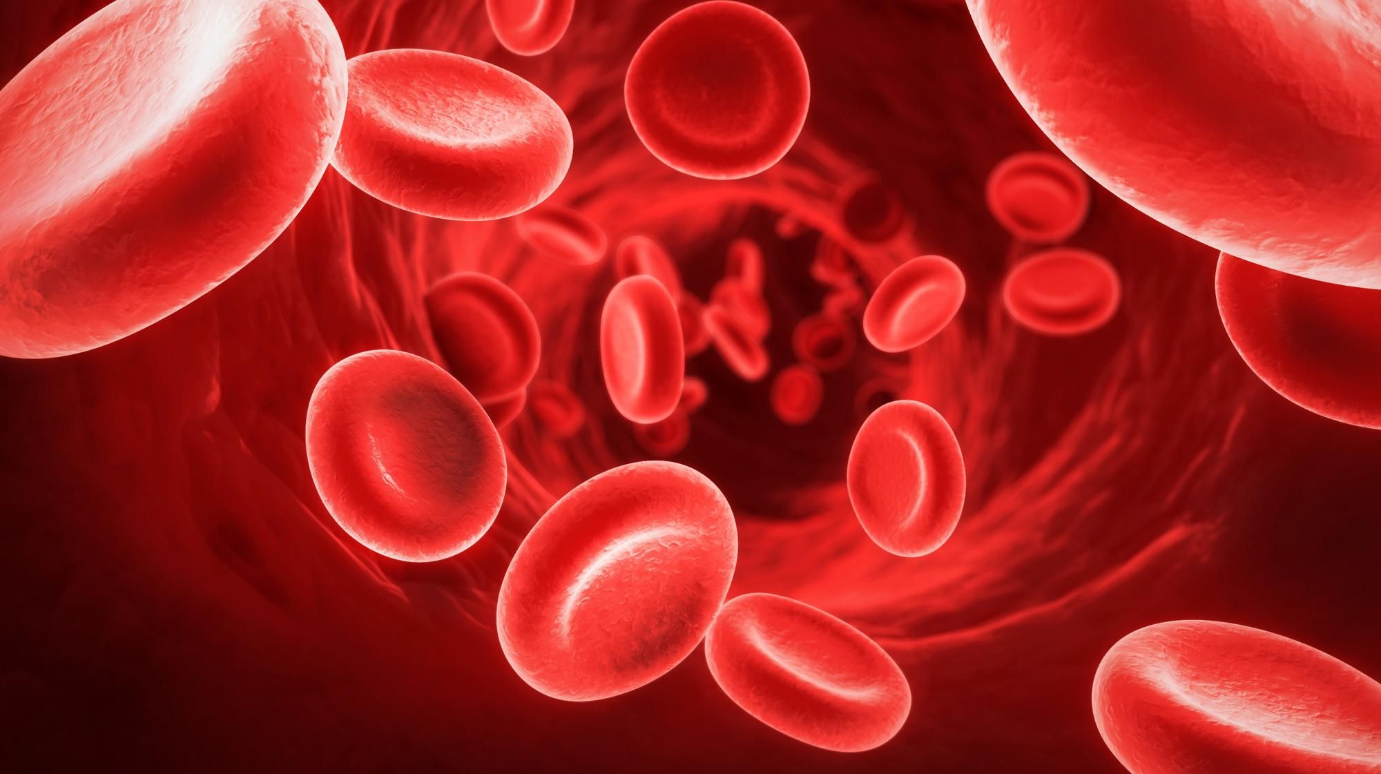Ученых обнаружили неожиданное средство против рака крови