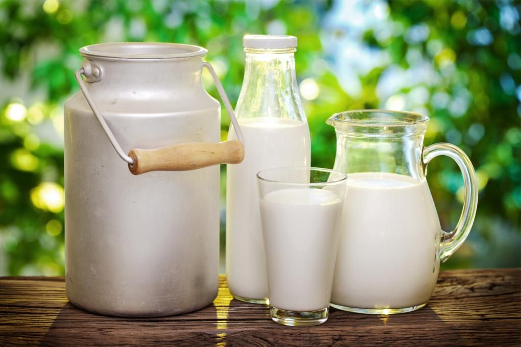 Козье, растительное или коровье: интересные факты о молоке