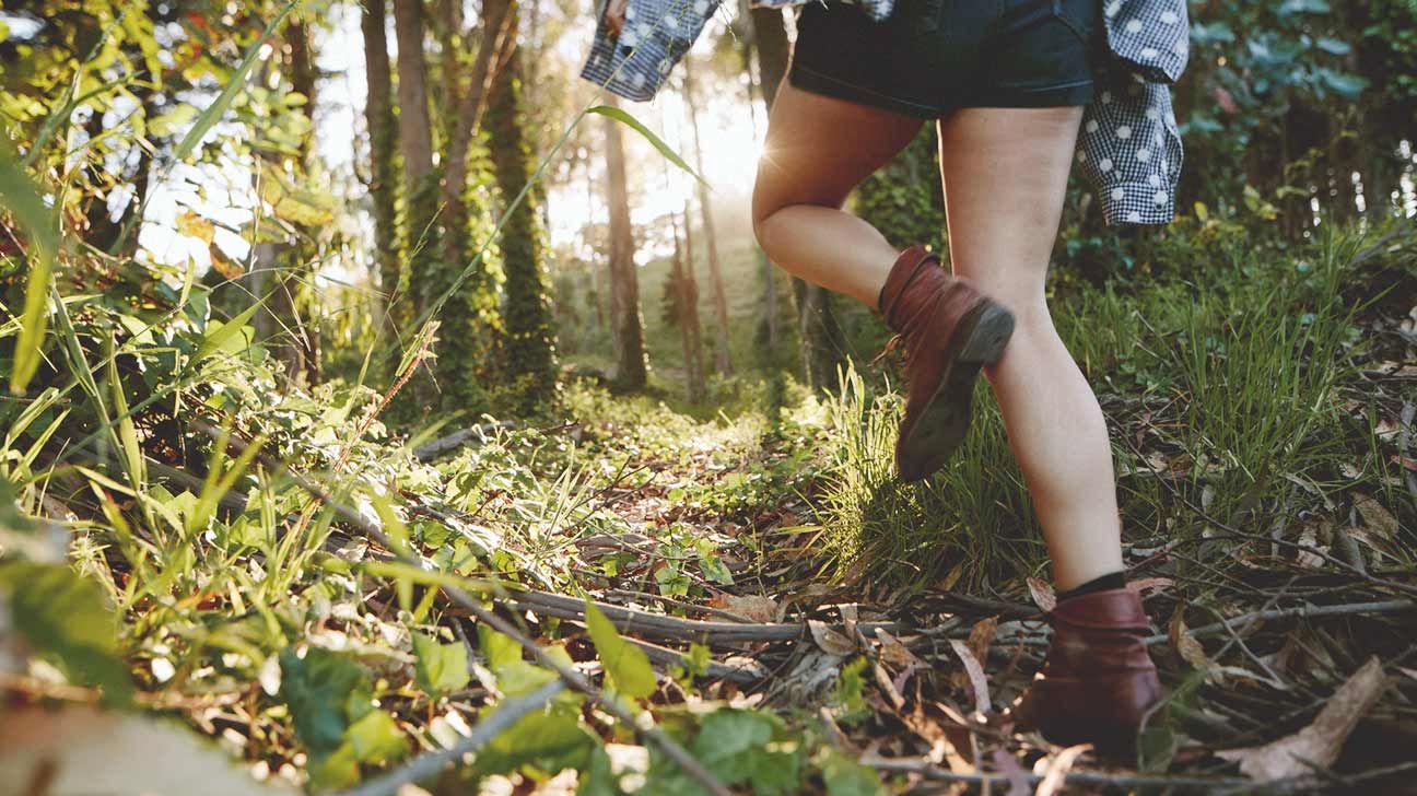 7 причин, почему стоит ходить в лес на прогулку