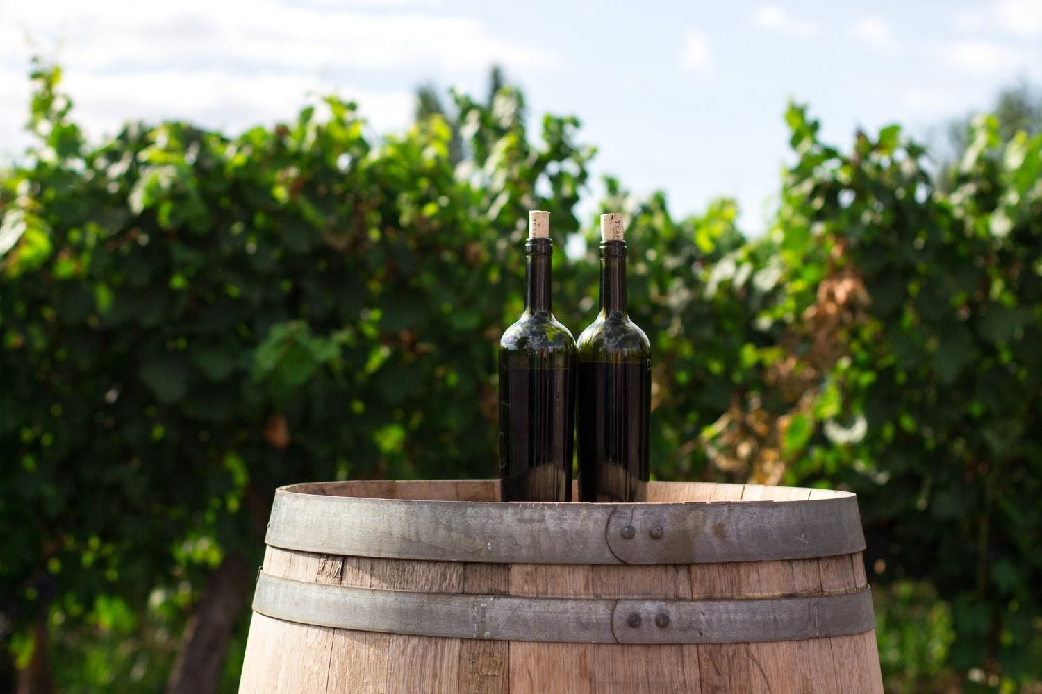 Користь вина: все про корисні властивості - чим корисне вино