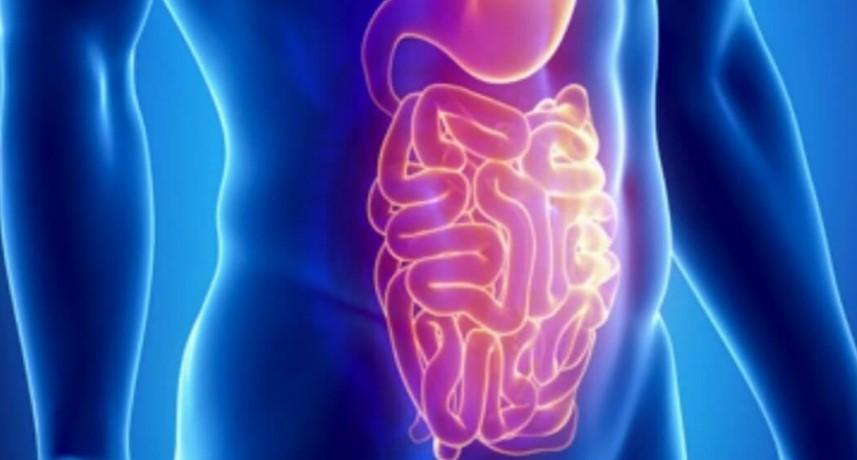 Такого понятия не существует, — врач рассказал о распространенном мифе