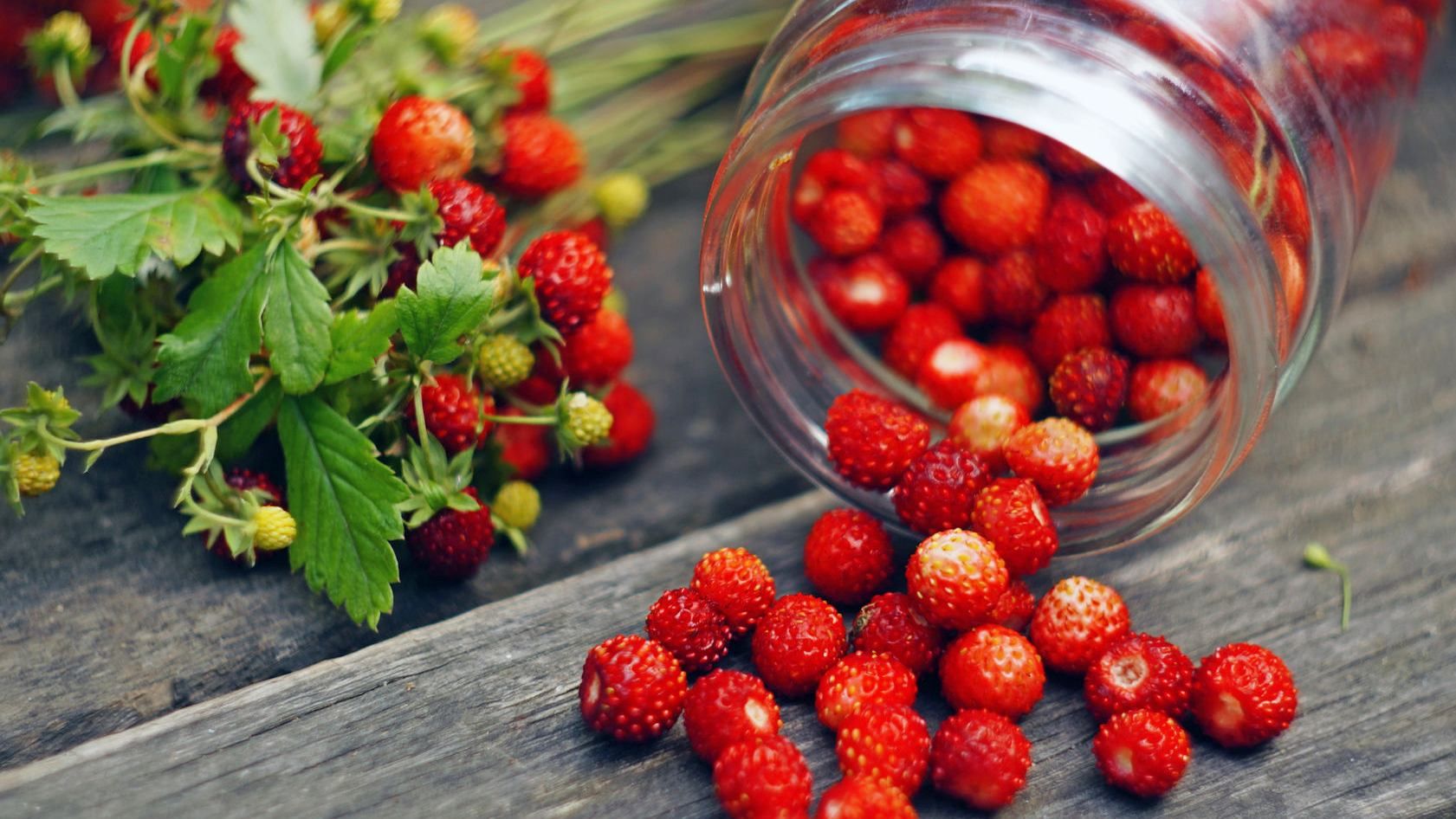 Диетолог назвала сезонные ягоды, которые улучшают здоровье человека