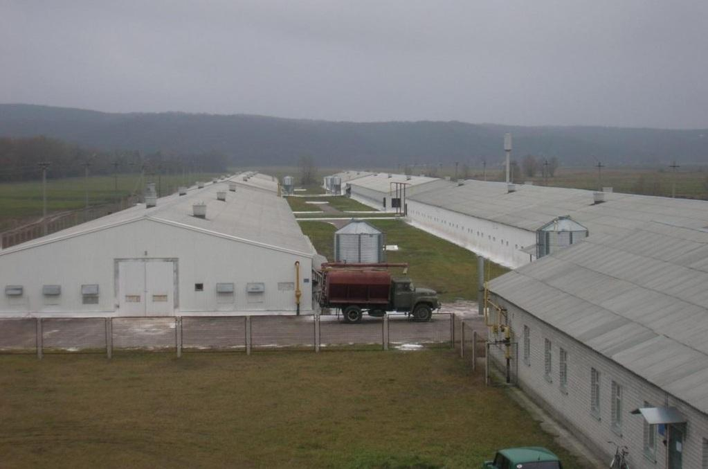 "Вредно для здоровья": эксперт пояснила, как в Украине процветает опасная отрасль