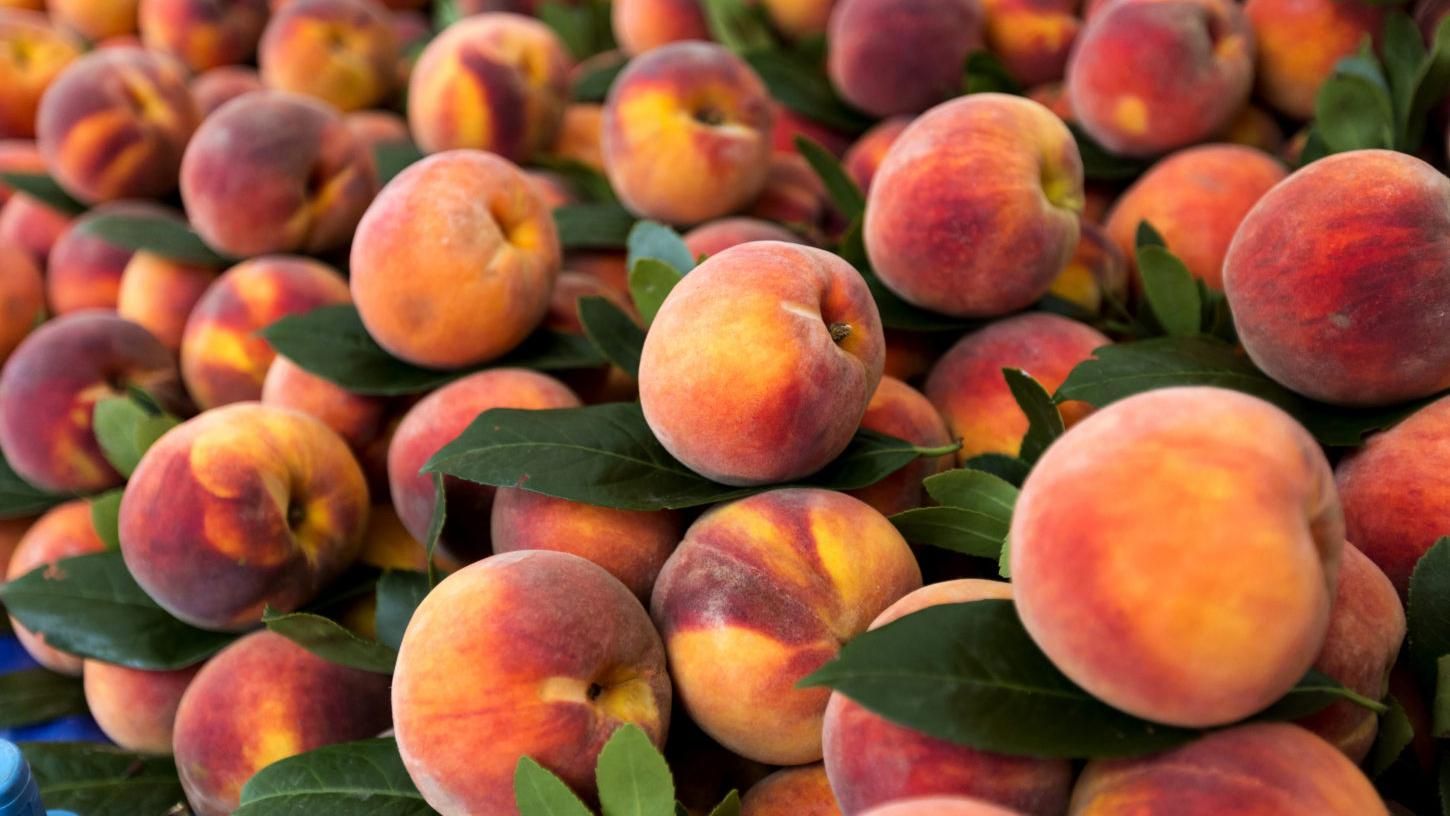 Персики - користь і шкода фрукта, властивості і протипоказання