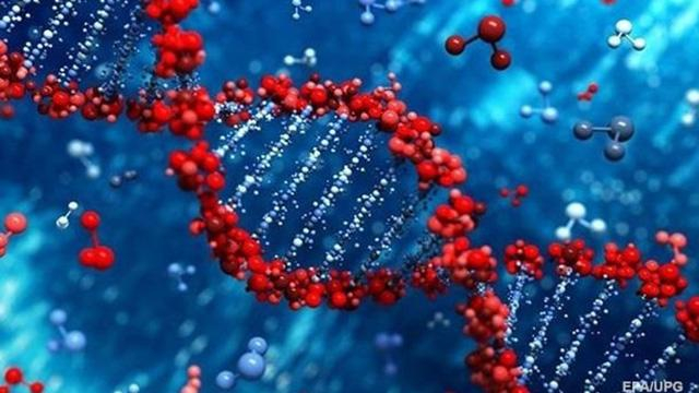Генетики смогут редактировать ДНК детей