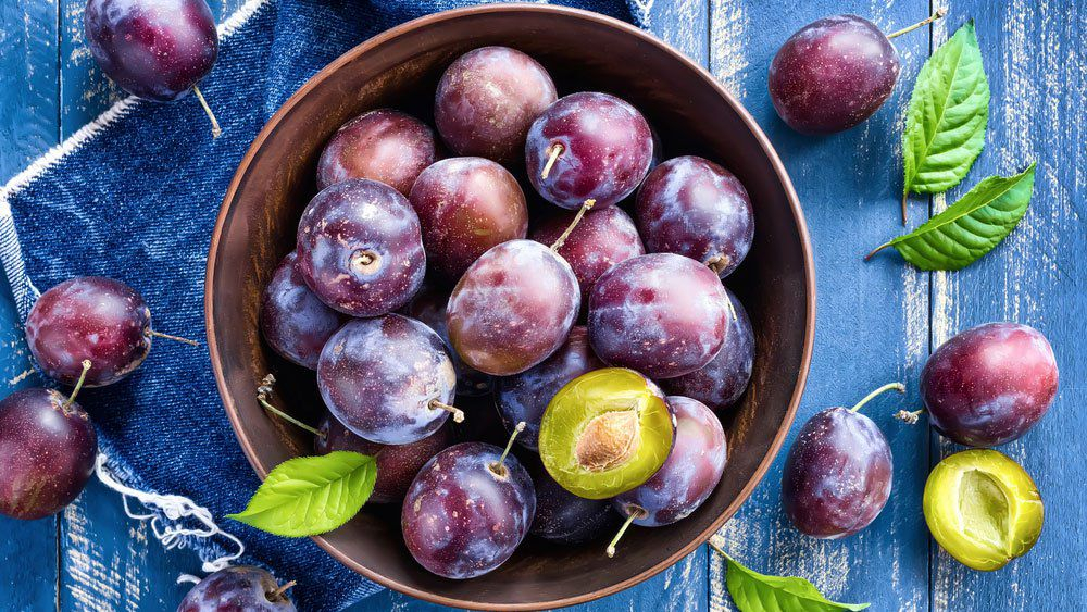 Слива - польза фрукта и как действует слива против рака