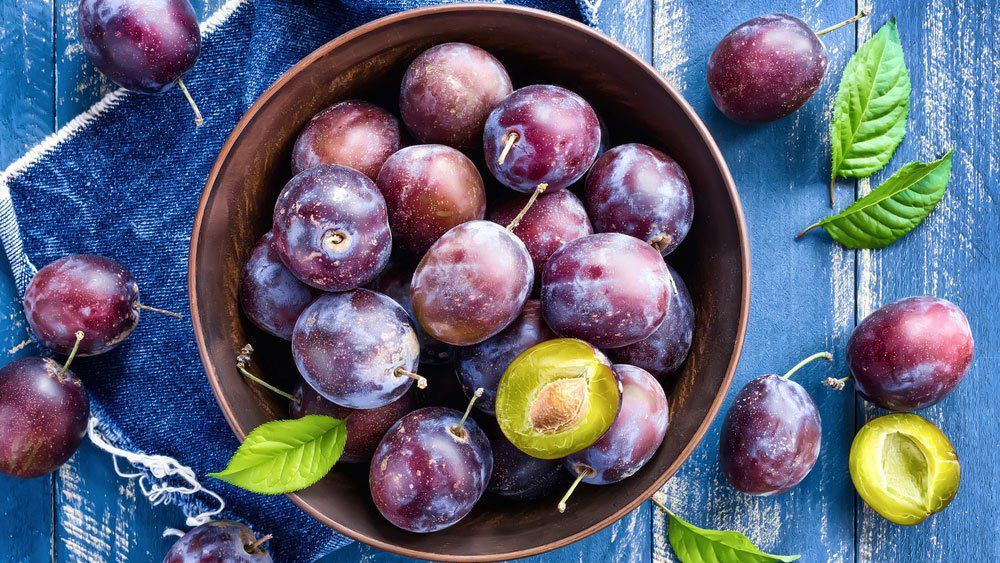 Слива - польза фрукта и как действует слива против рака