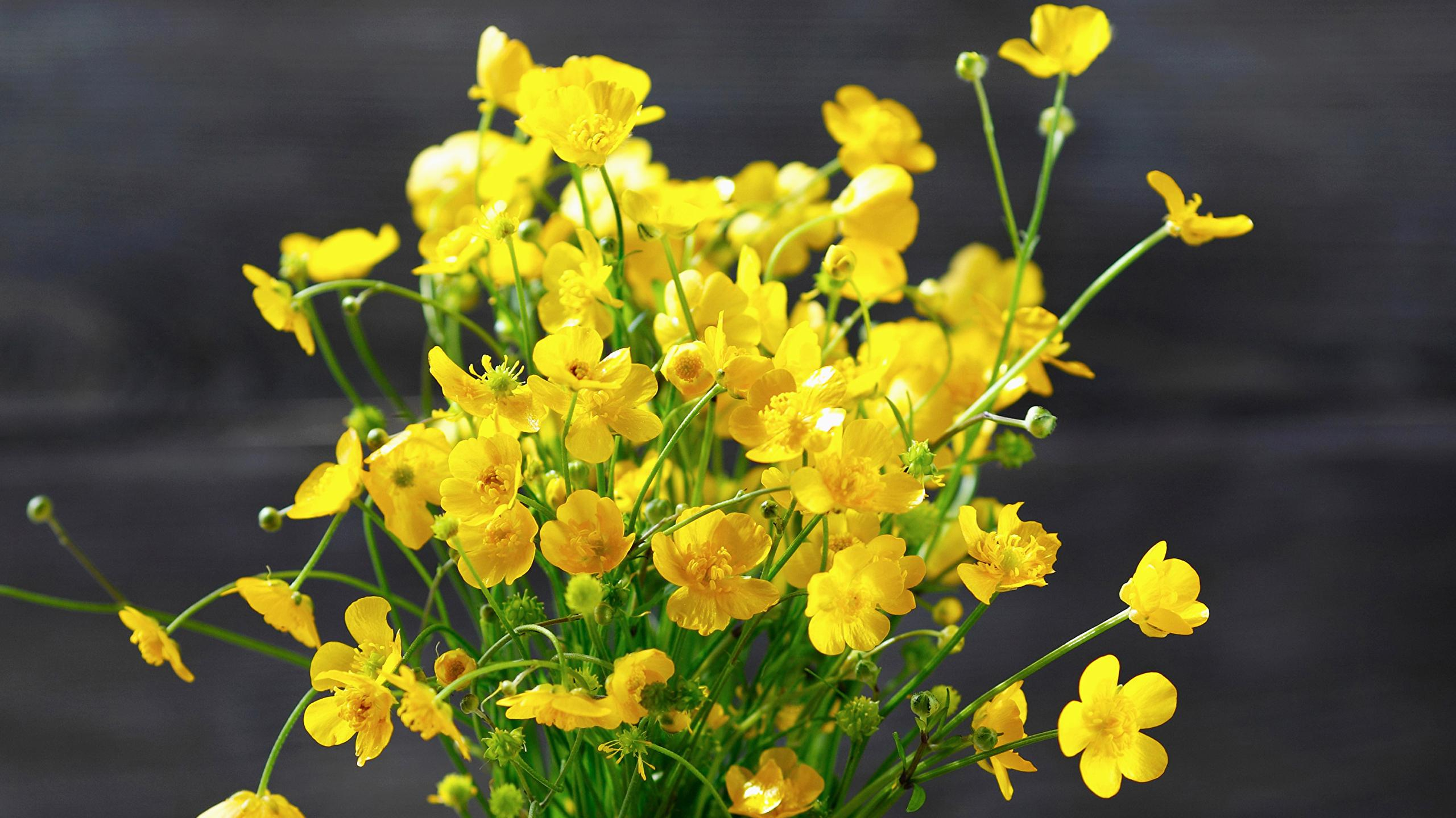 5 растений, к которым опасно прикасаться: фото