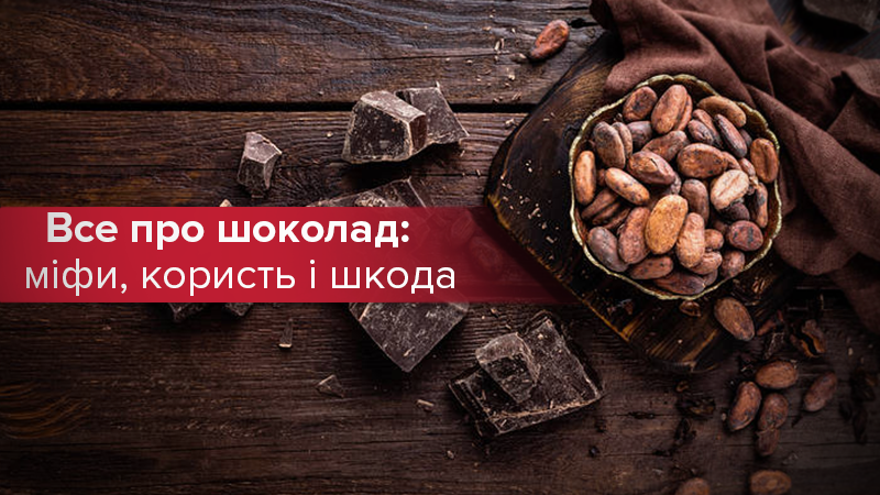 Мифы, польза и вред шоколада