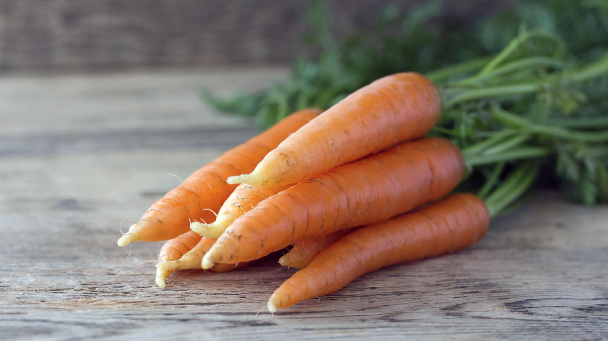 Морква - користь, вітаміни, властивості моркви