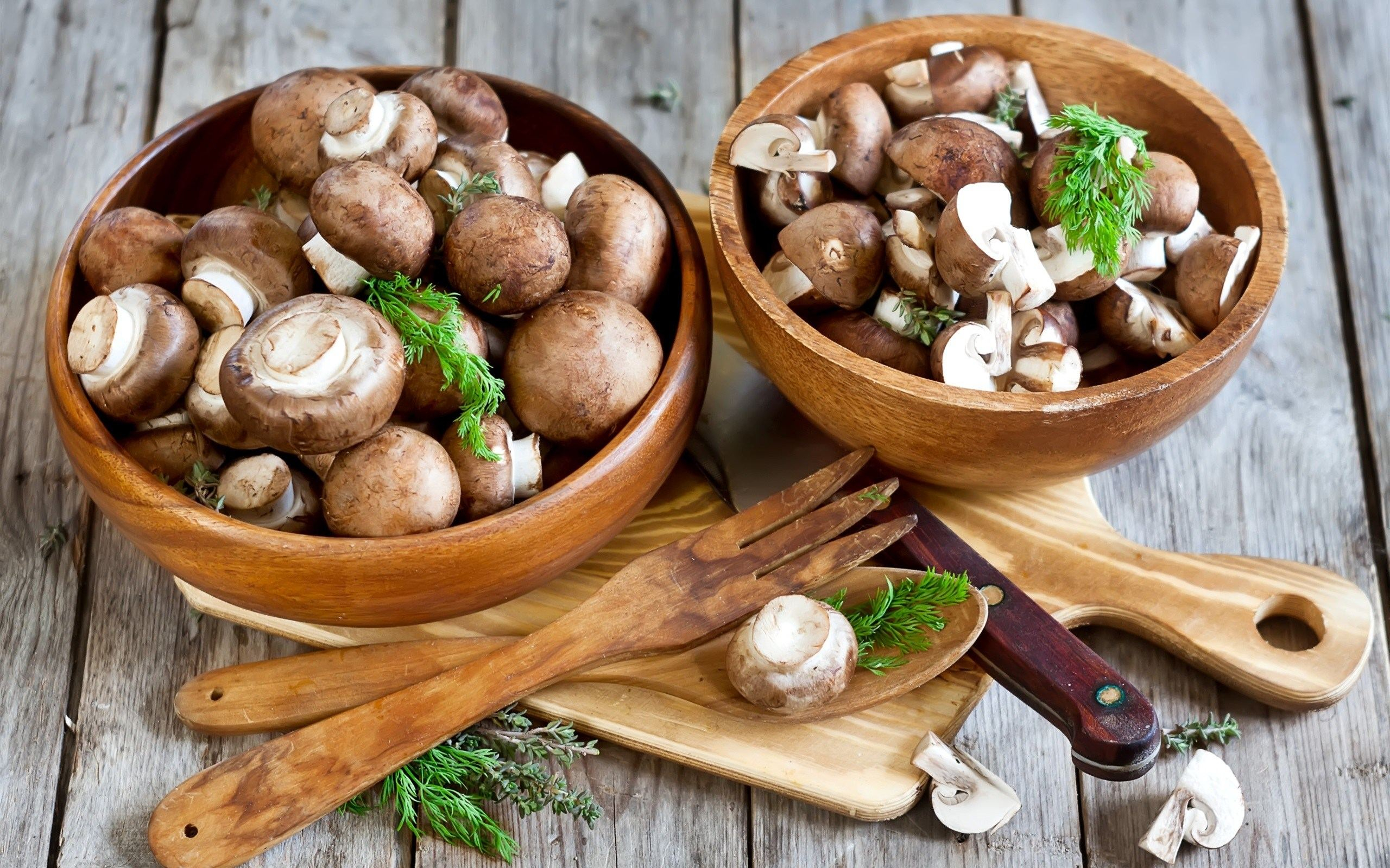 Полезно ли есть грибы: интересные факты