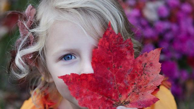 Какие страхи являются нормальными для детей: интересные факты 