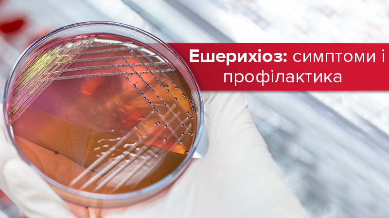 Эшерихиоз - что это, признаки и лечение заболевания