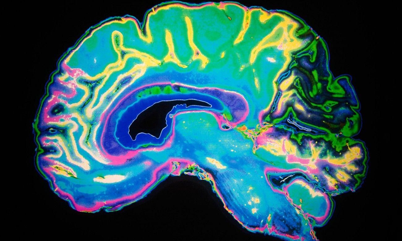 Які хвороби сприяють передчасному старінню мозку