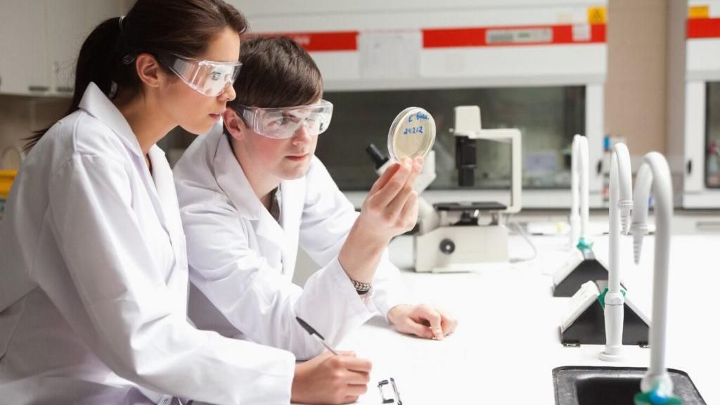 В теле человека обнаружили новый "микроорган" В теле человека обнаружили новый "микроорган"