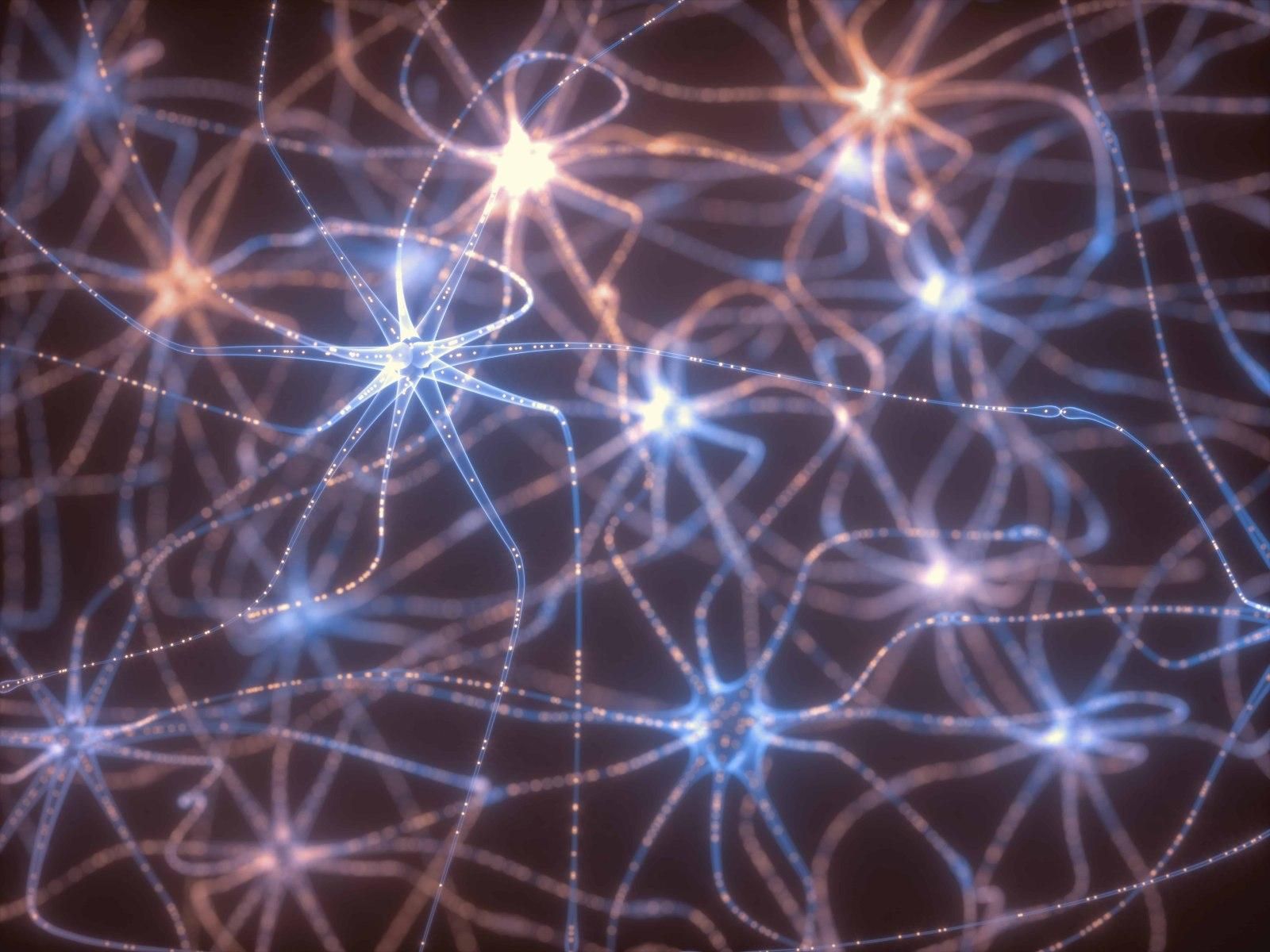 Біологи навчилися стежити за "спілкуванням" нейронів: фото