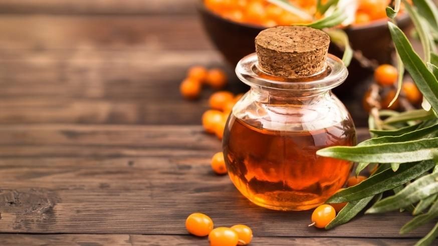 Обліпиха - користь, властивості і вплив на організм Обліпиха - користь, властивості і вплив на організм