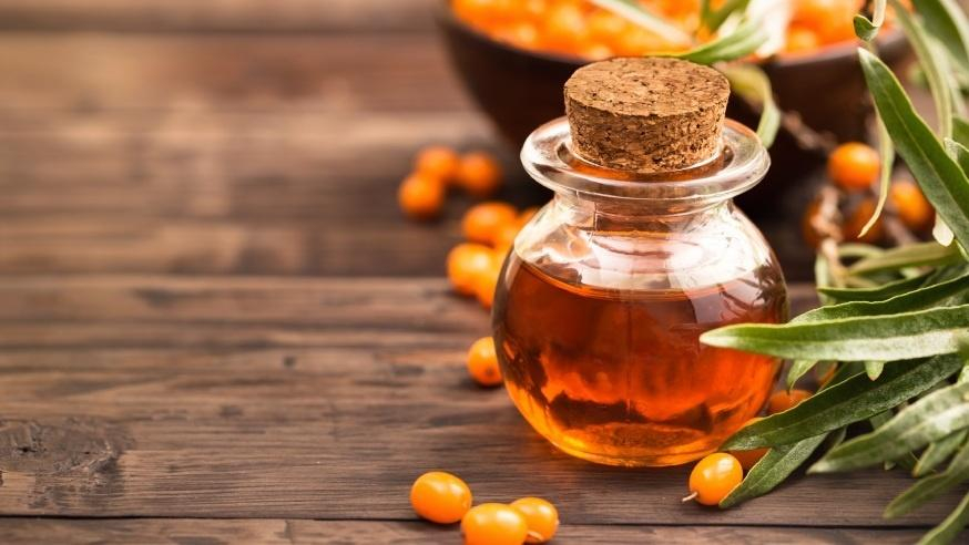 Облепиха - польза, свойства и влияние на организм