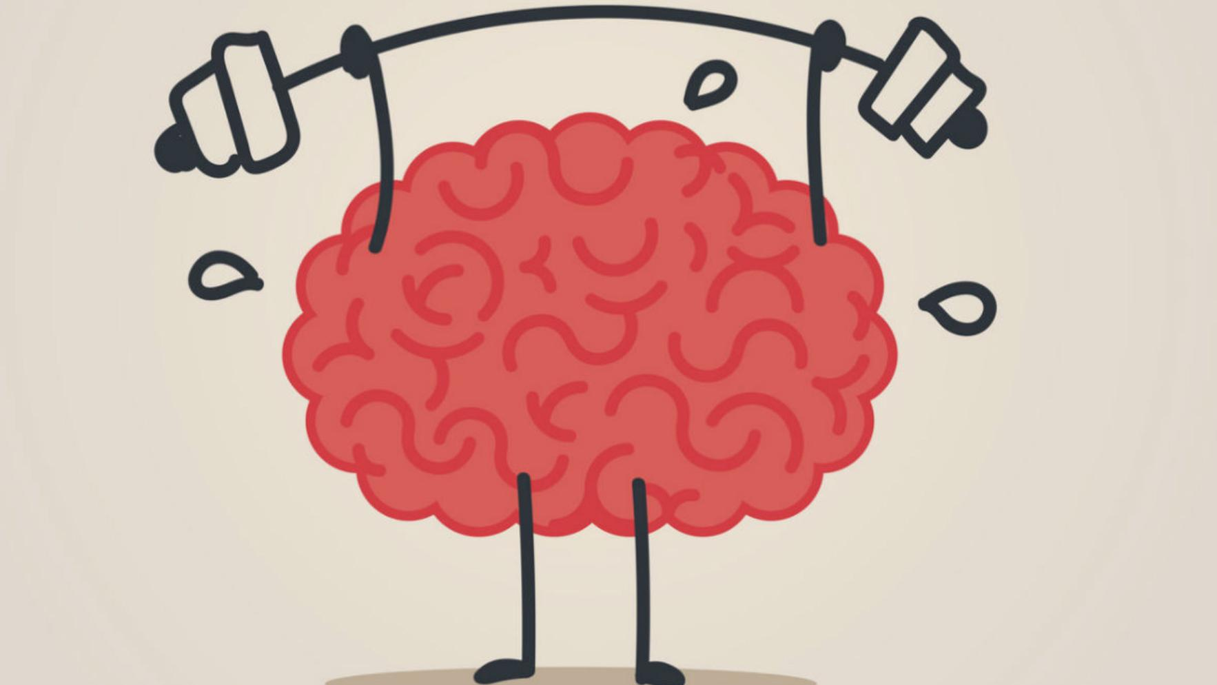 Какие продукты замедляют старение мозга