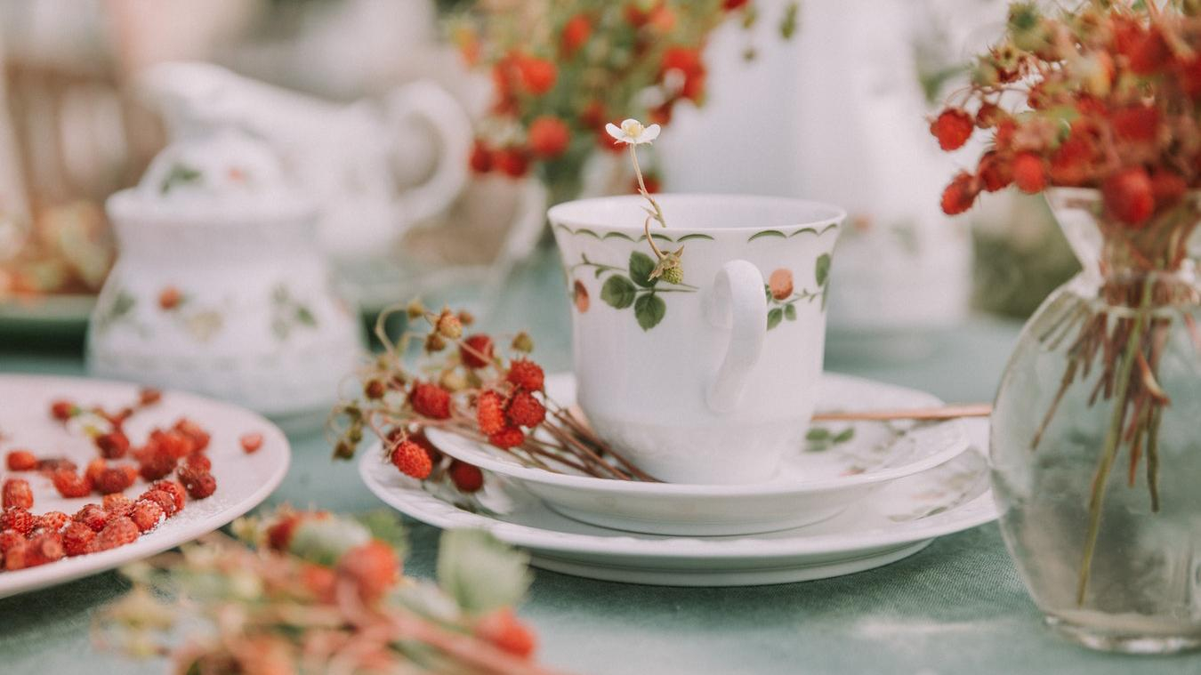 Как чай влияет на творчество: интересное исследование