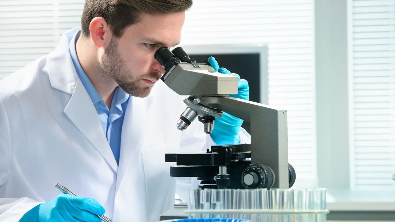 Як зупинити процеси старіння клітин в організмі: відкриття вчених Як зупинити процеси старіння клітин в організмі: відкриття вчених