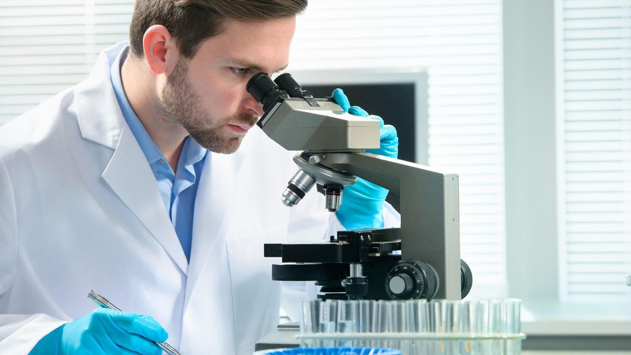 Ученые нашли простой способ продлить жизнь