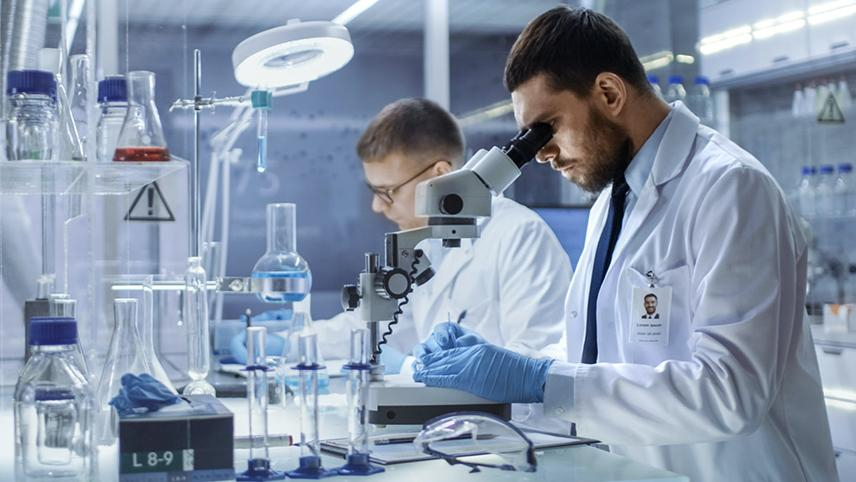 Ученые создали препарат, который подталкивает к социальному взаимодействию