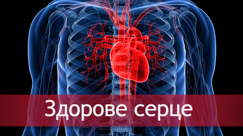 Серцево-судинні захворюваня: профілактика - як вберегтися