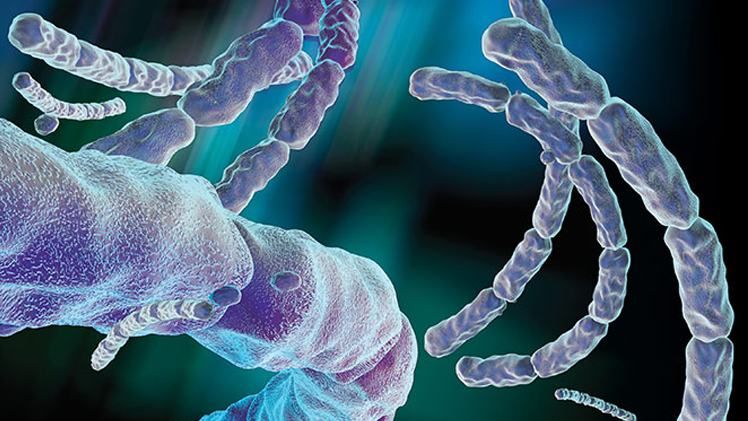 Підозру на сибірську виразку зафіксували ще в одній області України Підозру на сибірську виразку зафіксували ще в одній області України