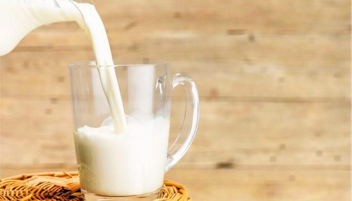 Чим корисне молоко від різних тварин