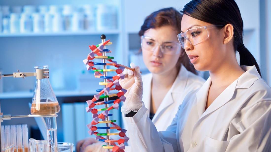 Ученые стали на шаг ближе к редактированию генов человека