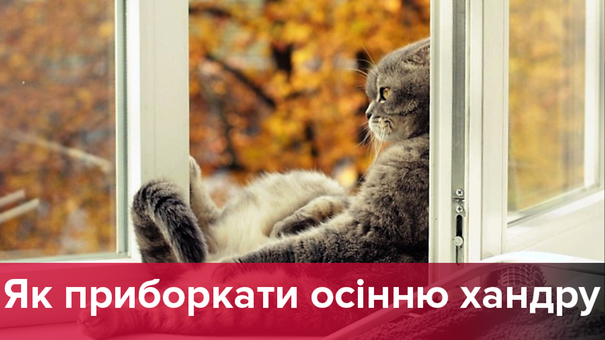 Як побороти осінню хандру: поради психолога Як побороти осінню хандру: поради психолога