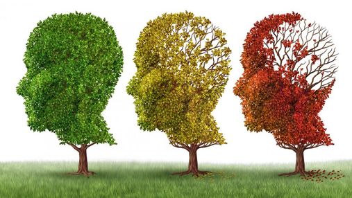 Вчені розробили ліки від хвороби Альцгеймера