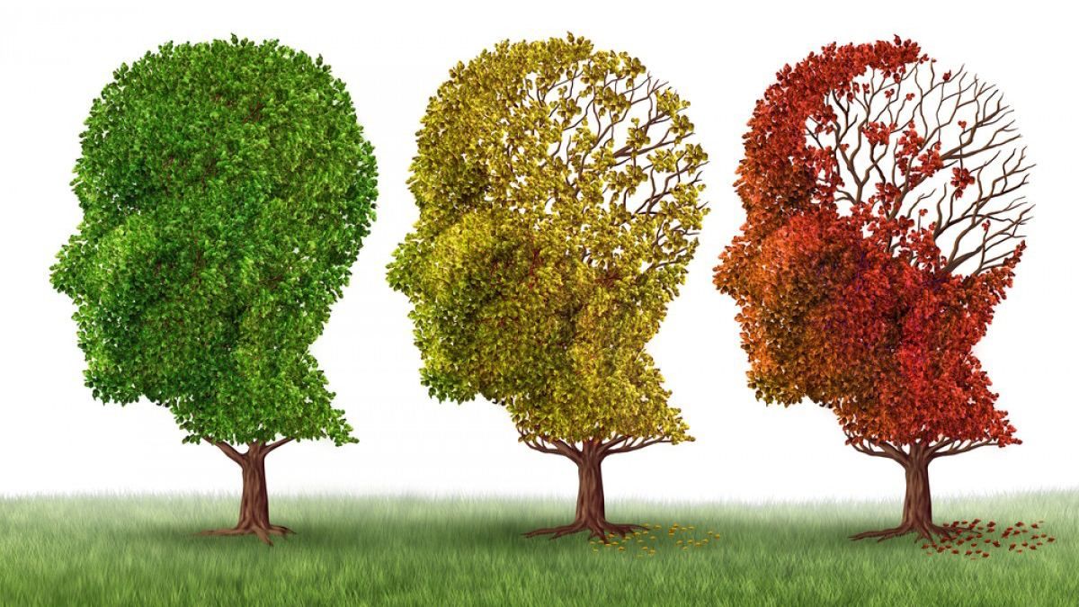 Вчені розробили ліки від хвороби Альцгеймера - 25 октября 2018 - Телеканал новостей 24