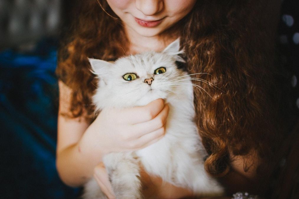 Какие болезни лечат животные