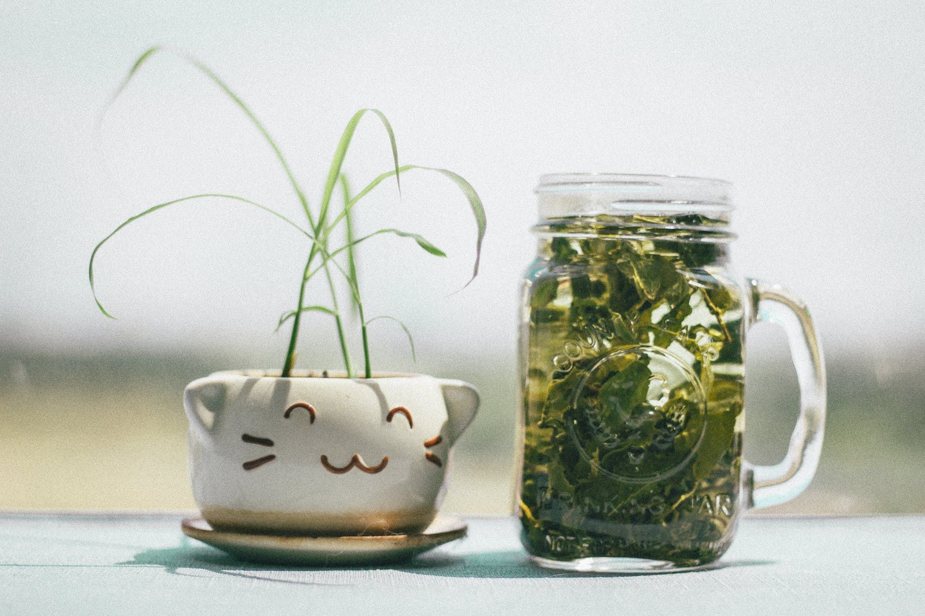 Надмірне споживання зеленого чаю може нашкодити печінці та ниркам