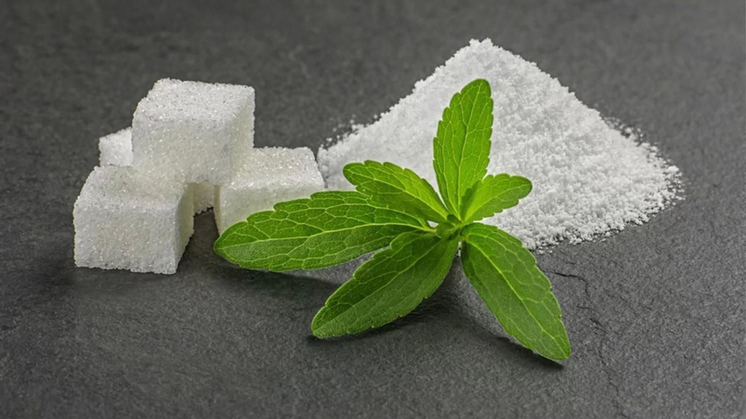 Почему стевия стала таким популярным заменителем сахара и какая от нее польза