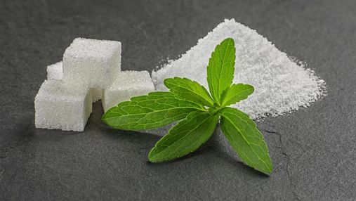 Почему стевия стала таким популярным заменителем сахара и какая от нее польза
