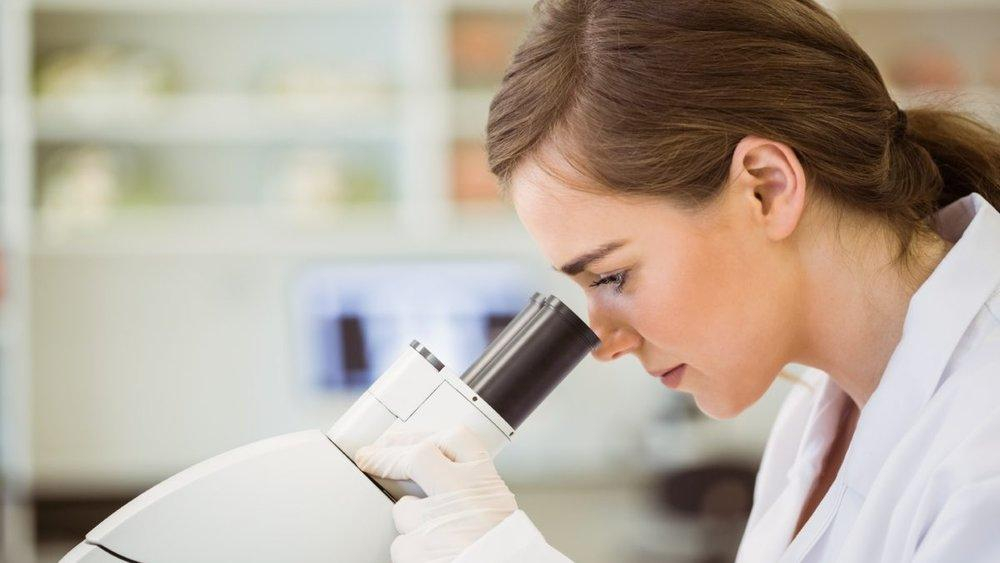 Ученые удивили заявлением о пользе ожирения - 14 ноября 2018 - Телеканал новостей 24