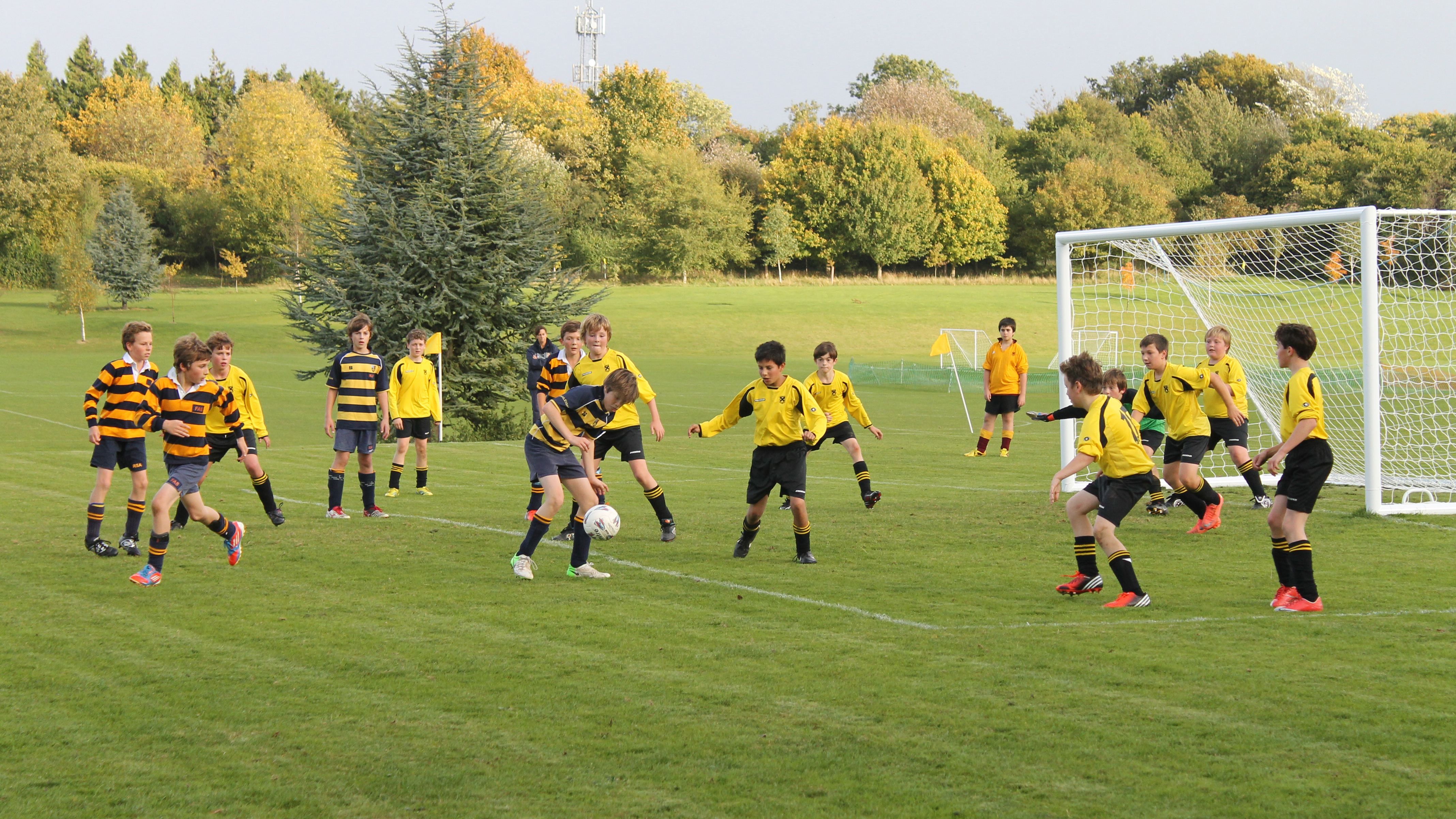 Назвали види спорту, що порушують роботу мозку Назвали види спорту, що порушують роботу мозку